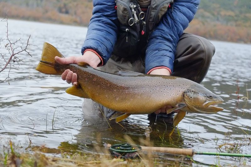 Todo concluye al fin…