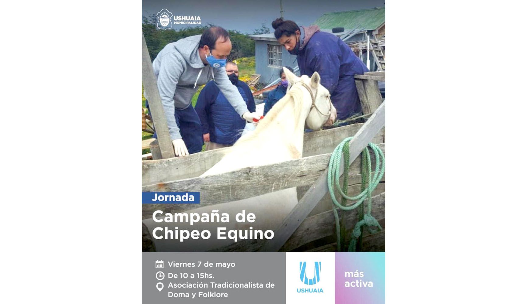 Se realizará una jornada de registro y chipeo de equinos 