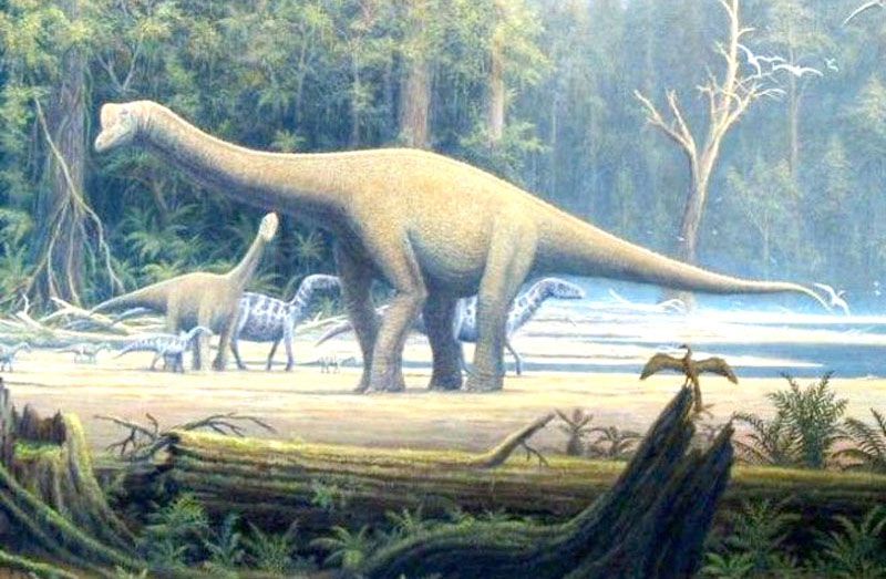 Hallan evidencia de dinosaurios herbívoros en la Antártida