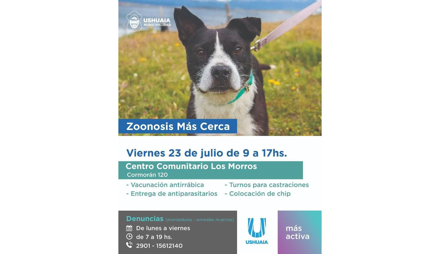 “Zoonosis más Cerca” estará en Los Morros 