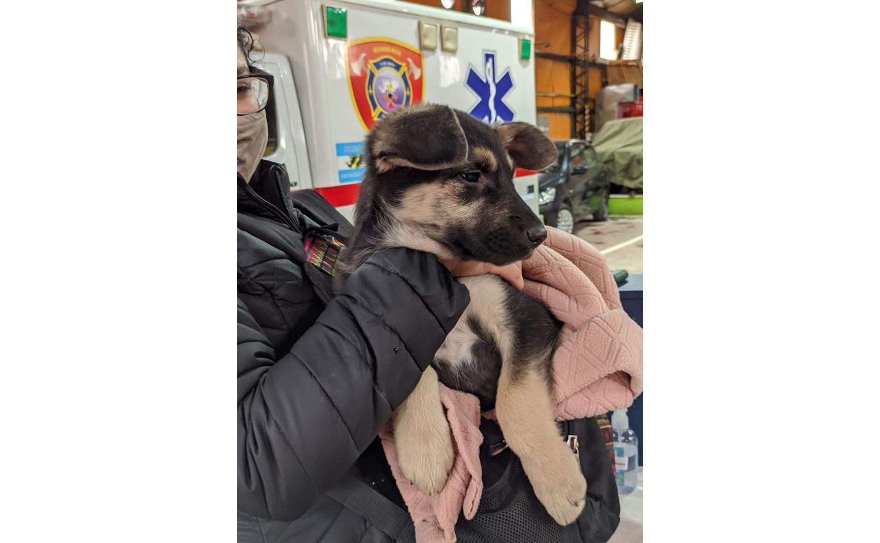 El Municipio realizó una nueva jornada de “Zoonosis más Cerca”