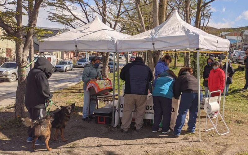 “Zoonosis más Cerca” estuvo en el barrio Jardín