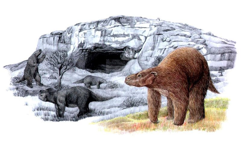 Un comerciante exhibe su hallazgo de restos de un milodón