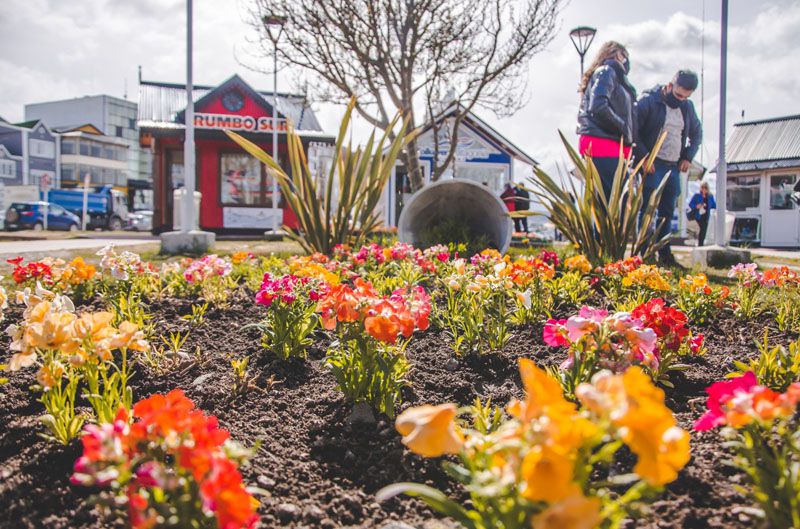 Comenzaron trabajos de embellecimiento en Ushuaia