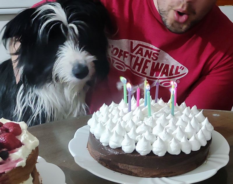 ¿Por qué sólo para humanos?