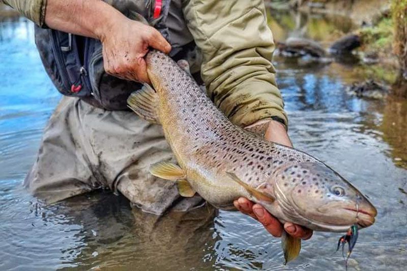 Se abrió la temporada de pesca Se abrió la temporada de pesca