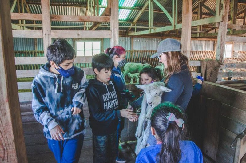 Niños de la Terapia Asistida con Perros visitaron Estancia Sara 