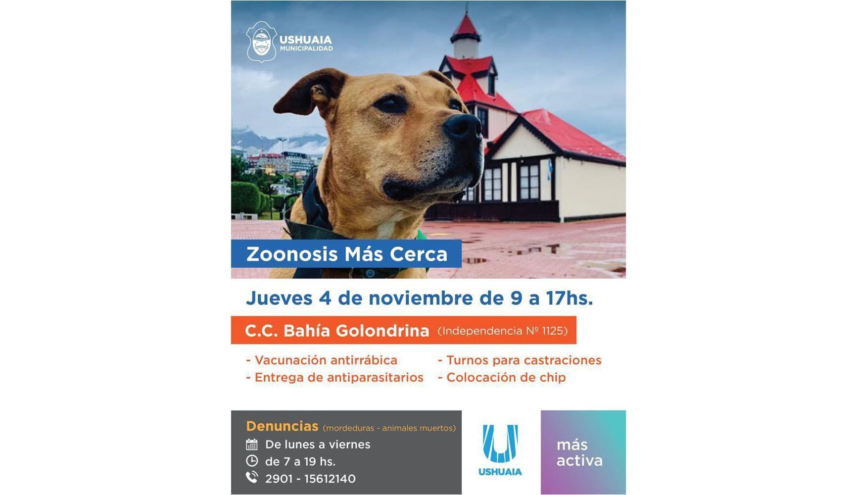 Zoonosis Más Cerca llega a Bahía Golondrina