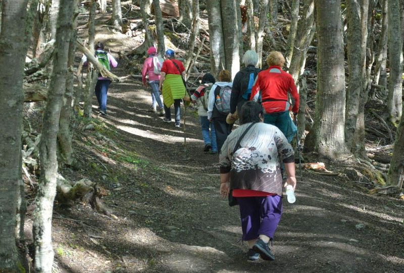 Adultos mayores realizaron una caminata recreativa