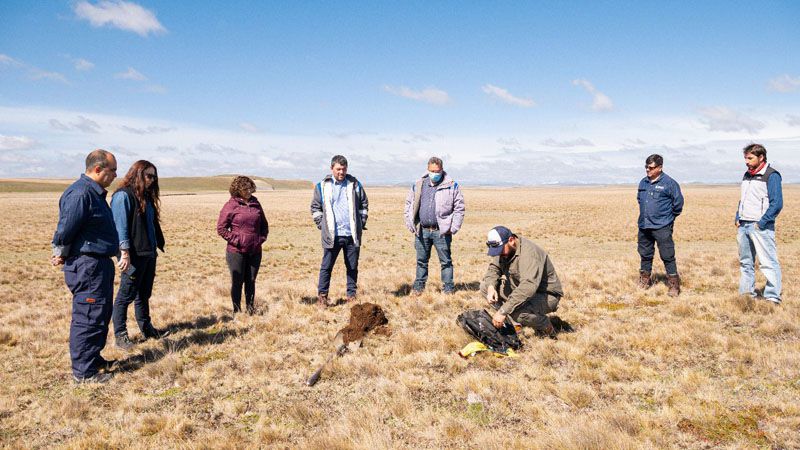 Relevamiento geoquímico para determinar la presencia de hidrocarburos 