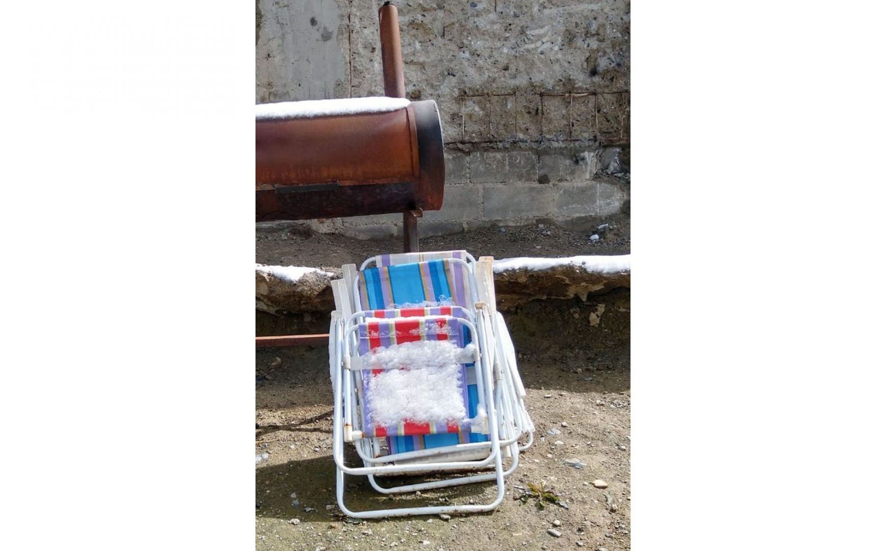 Linda primavera invernal 