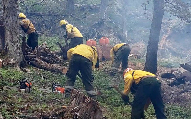 Brigadistas intervinieron en un incendio forestal