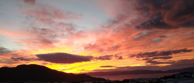 Por si te los perdés 