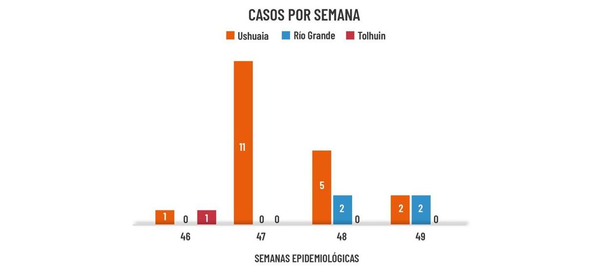 Salud notificó 4 contagios importados 