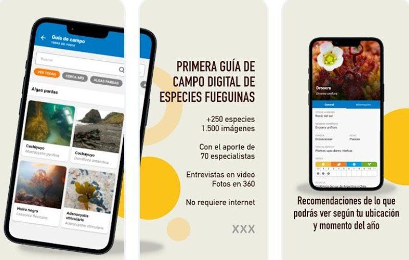 Primera guía digital de especies fueguinas 
