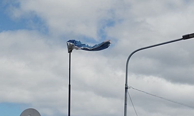 Flamea la Celeste y Blanca