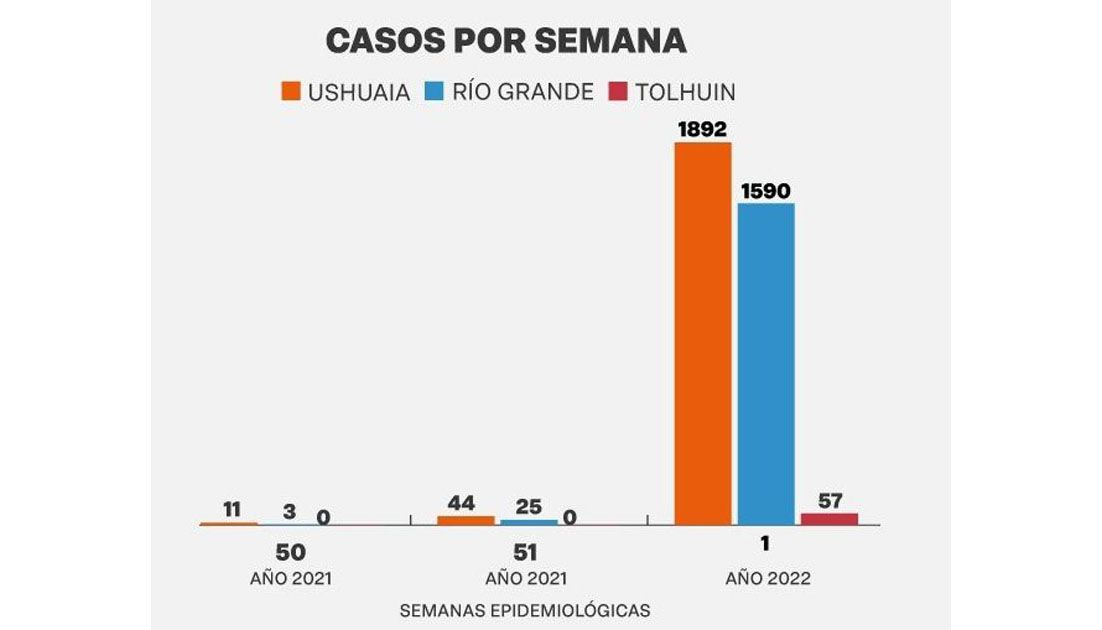 Enero debutó con 3.539 nuevos casos