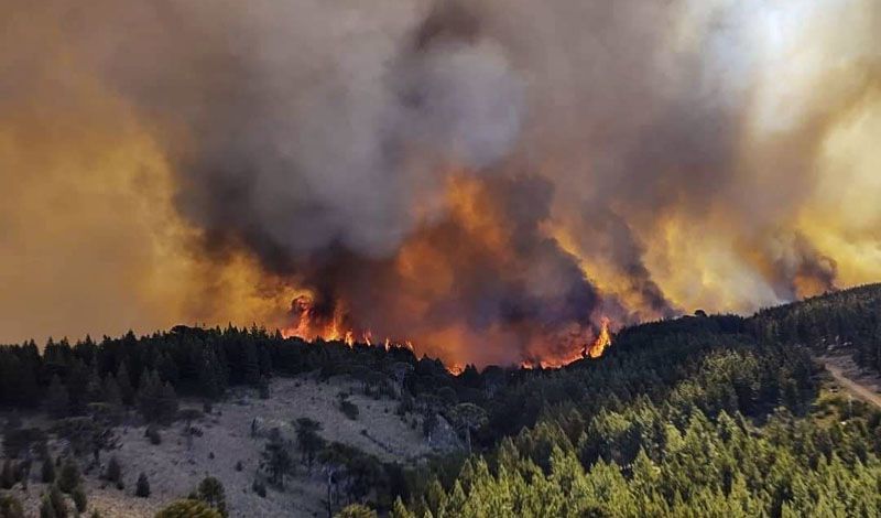 El Gobierno nacional declaró la emergencia ígnea en todo el país