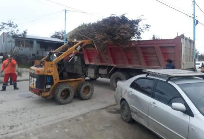 Continúan los operativos de recolección de residuos voluminosos en toda la ciudad