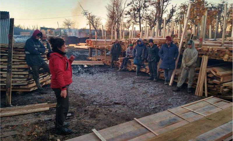 Asistencias para la mejora del secado técnico de la madera de Lenga