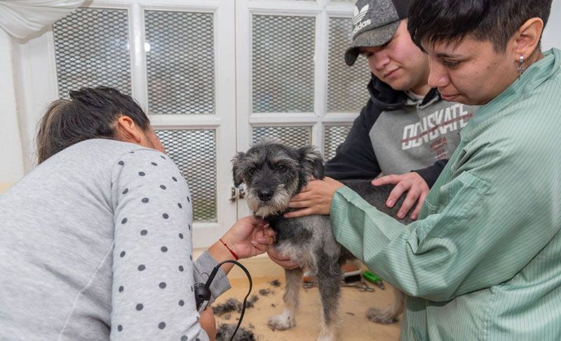 Los Centros Comunitarios ofrecen diversas propuestas 