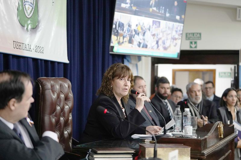 Urquiza presidirá la Convención Constituyente