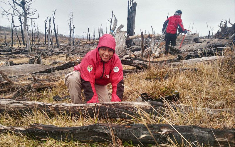 Prevén plantar 13.600 lengas para cubrir unas 14,5 hectáreas  