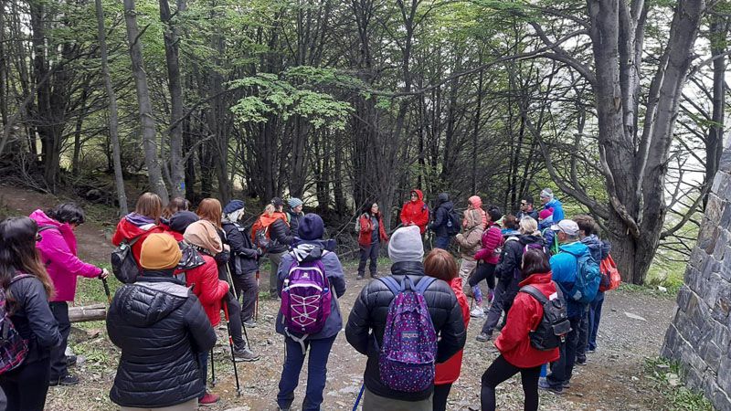 Continúan las actividades impulsadas por LUCCAU