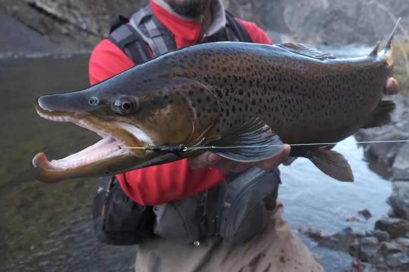 Mañana se abre la temporada de pesca