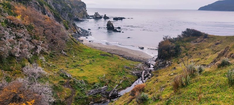 Península Mitre: consideran central el plan de manejo