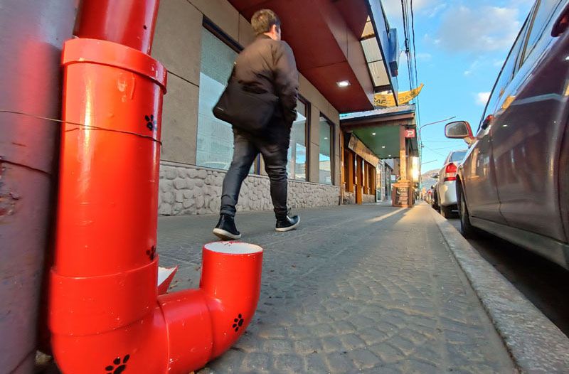 Schiavini: “Un verdadero sinsentido nacido de las buenas intenciones”