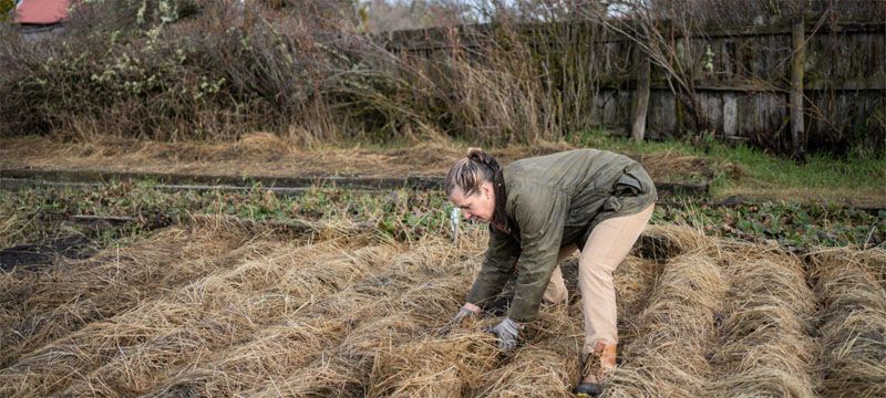 Finalizó el proceso de certificación orgánica en cinco empresas