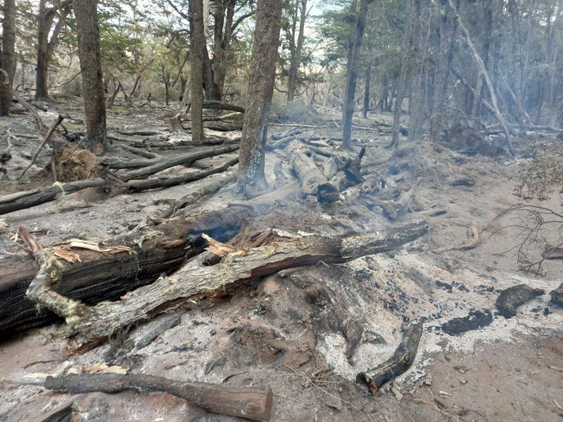 El “perímetro está contenido” en el incendio forestal 