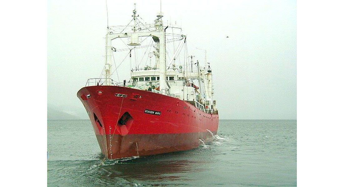 Quieren que la pesca deje más beneficios