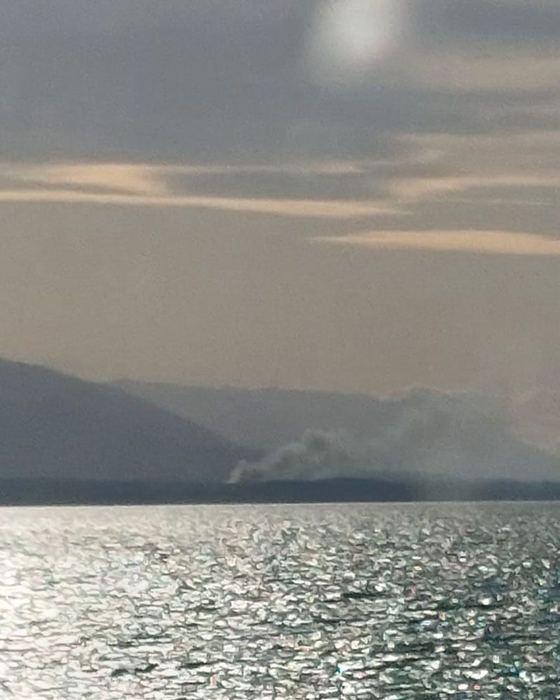 Nuevo incendio forestal activó a la Comisión de Manejo del Fuego 