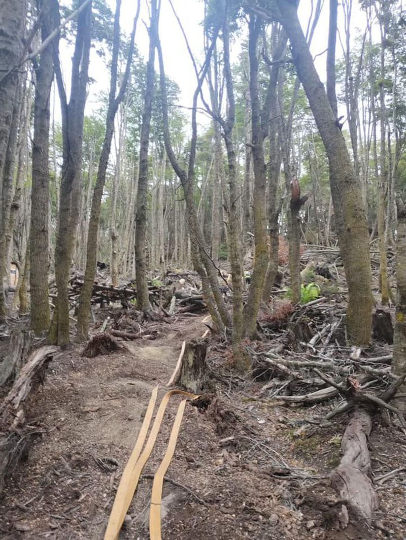 Cinco incendios en dos meses 