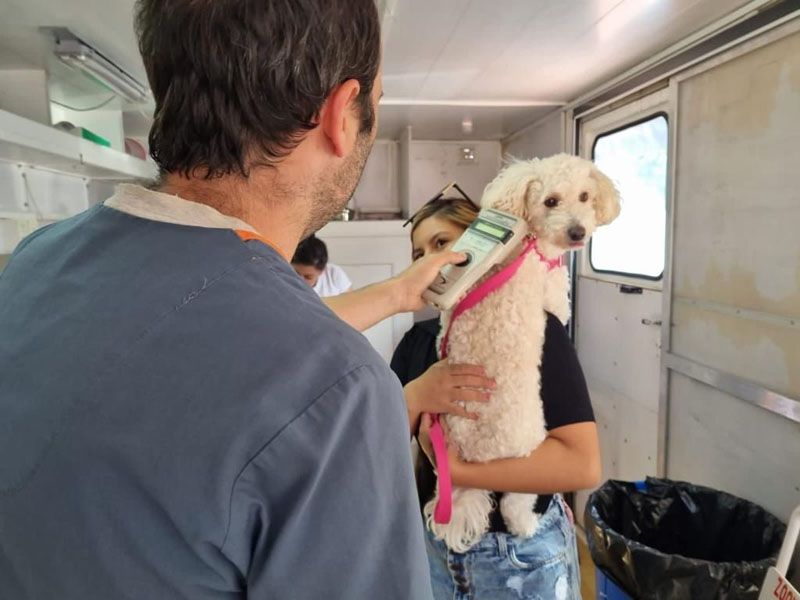 La unidad móvil de zoonosis atendió cerca de 300 animales