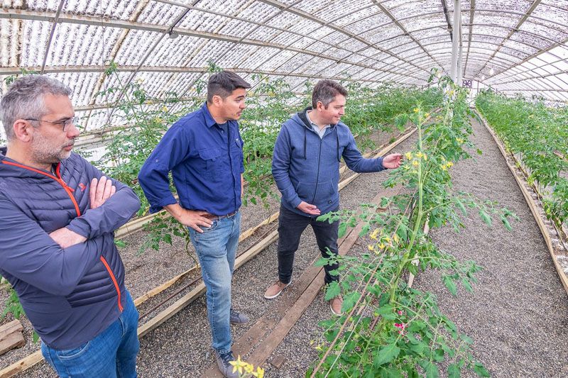 Continúa el impulso a la producción alimentaria 