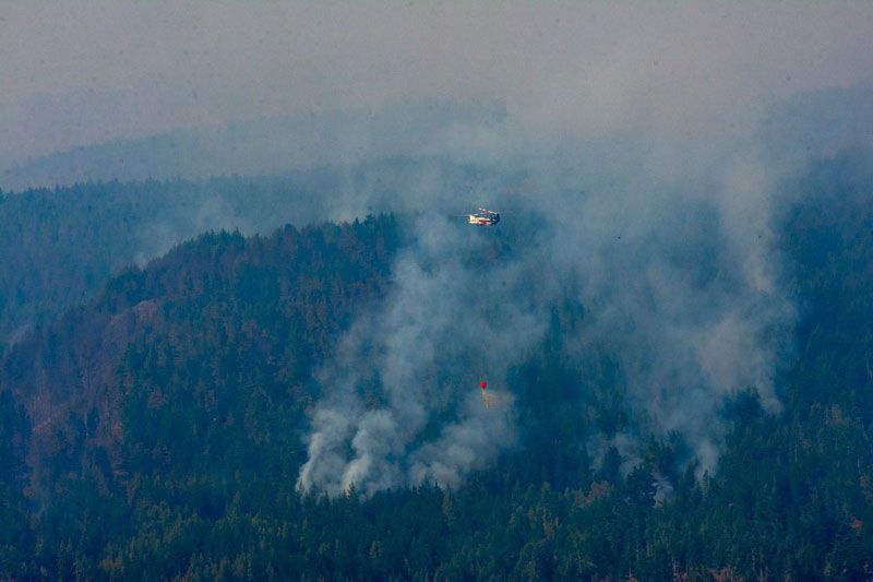 Incendios forestales: hay focos activos en siete provincias