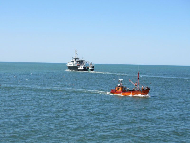 Pampa Azul, una iniciativa clave para el desarrollo productivo en el mar