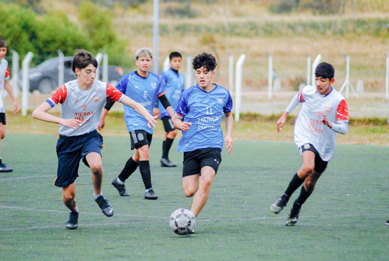 Variadas actividades oficiales