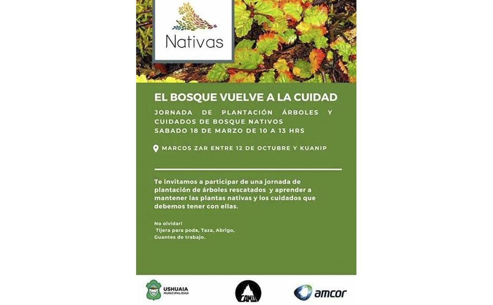 Este sábado ‘El Bosque Vuelve a la Ciudad’