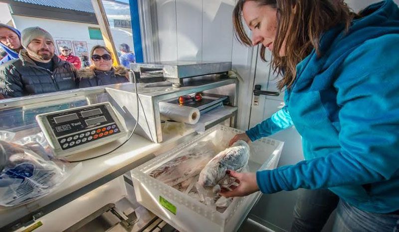 Abrió el punto de venta de pescado y marisco fresco local