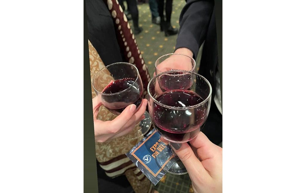 Se viene una nueva edición de la Expo Vino Fin del Mundo