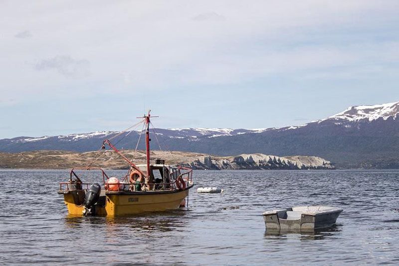 ArgenWolf va a procesar bivalvos de Almanza 
