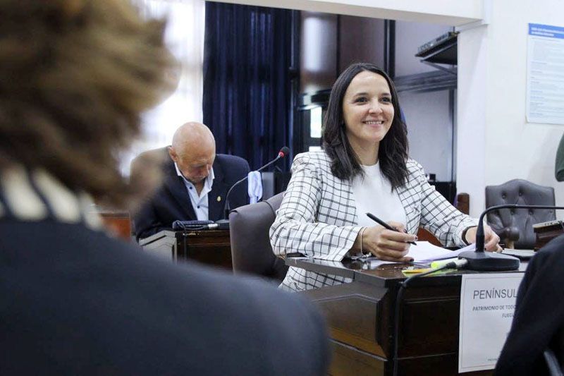 Abuso infantil, cuota alimentaria y paridad integral