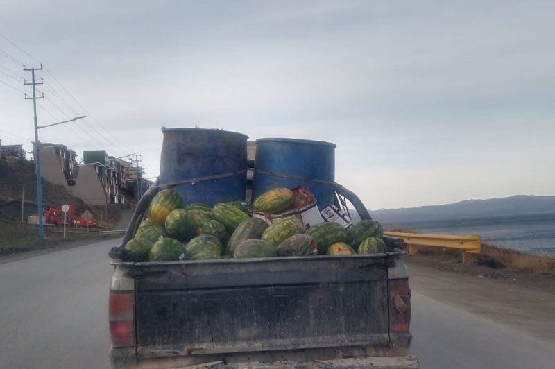 Que desperdicio