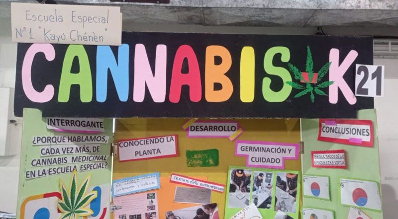 La Kayú Chénèn presenta su proyecto ‘Cannabis-K’ en la Feria de Ciencias