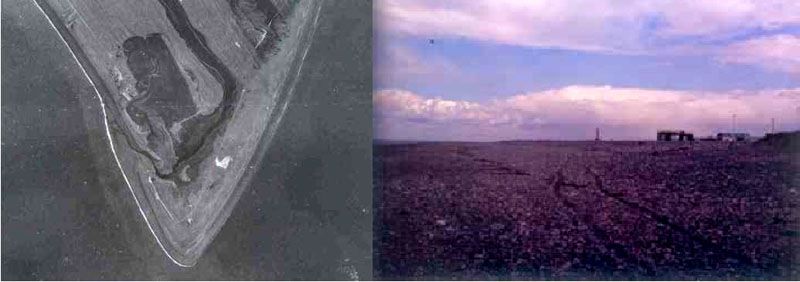 Un emprendedor argentino descubre oro en Punta Dúngeness