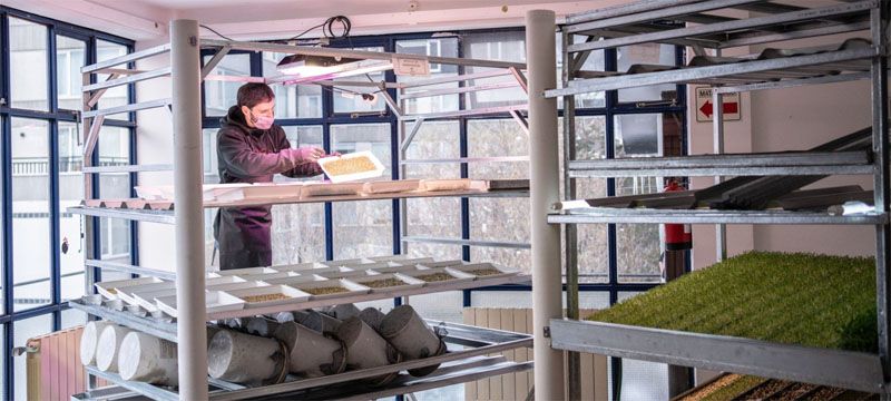 Tierra del Fuego registró una caída en el empleo privado